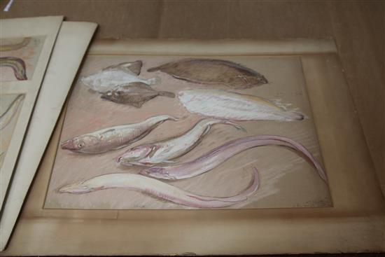 William Shackleton (1872-1933) Studies of fish and eels Largest 14.5 x 20in. unframed.